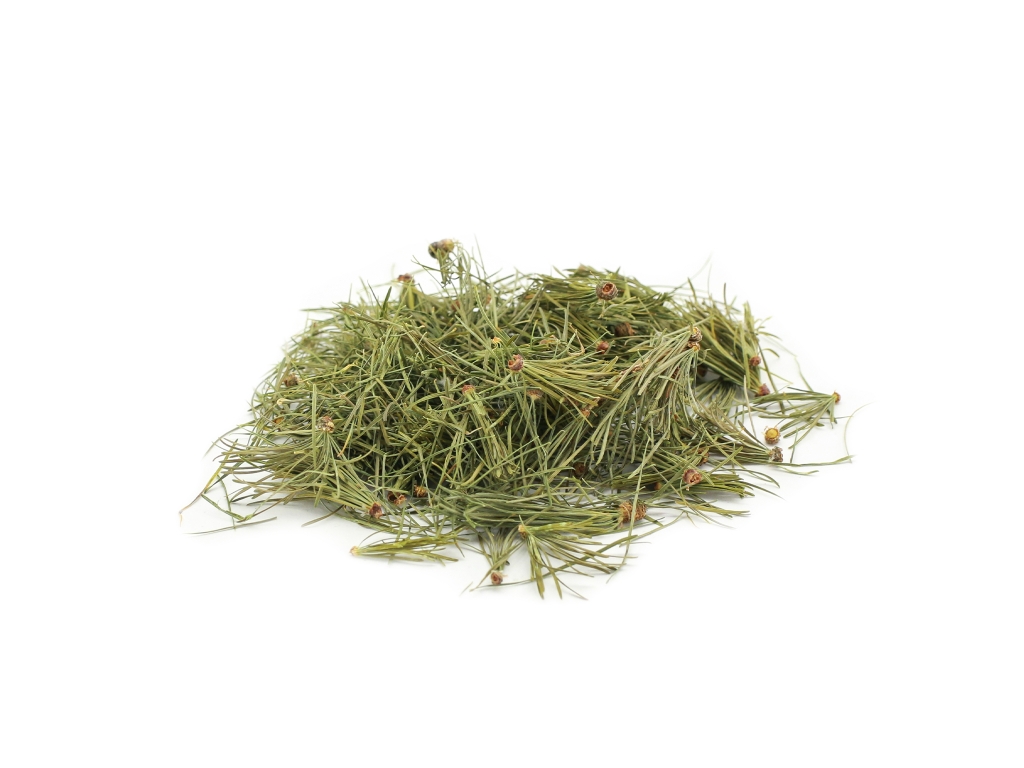 conifer/needle - small - 20g